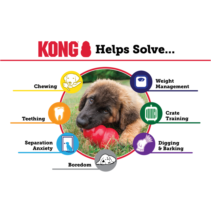 KONG Classic Toy: The Ultimate Pet Playtime Essential!