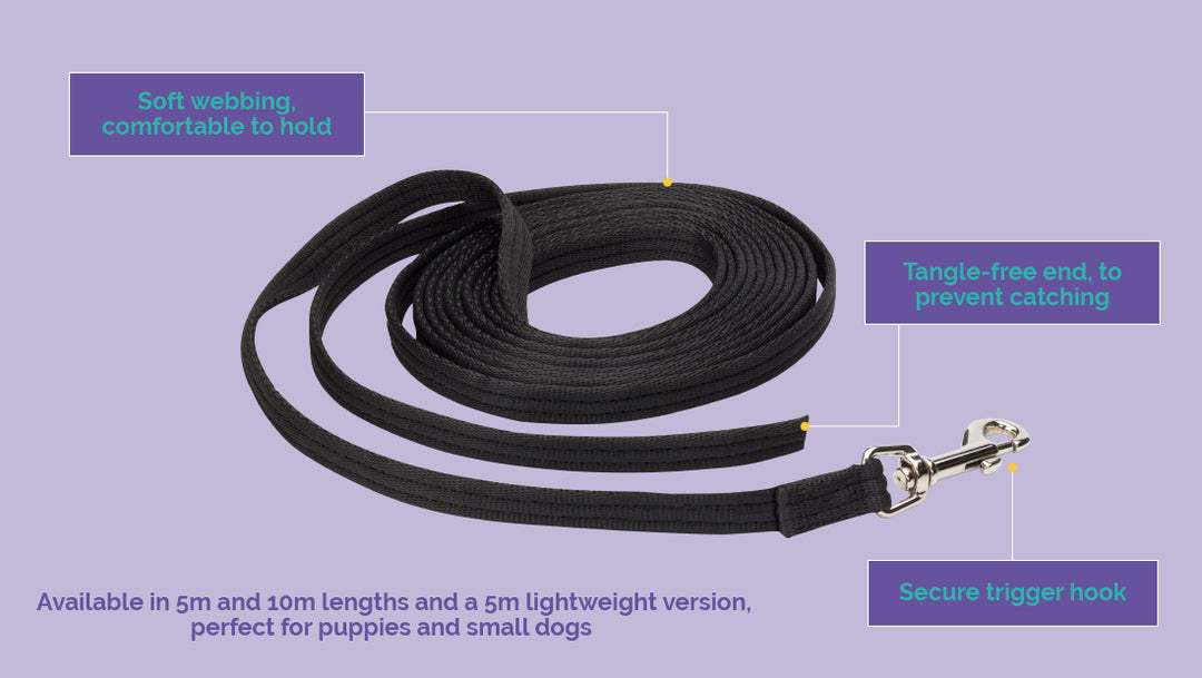 Company of Animals Recall Line - 5m Dog Training Lead for Recall and Socialization