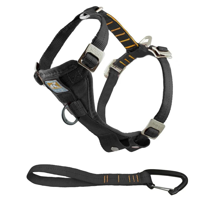 Kurgo Tru-Fit Dog Car Harness providing safety and comfort during travel.