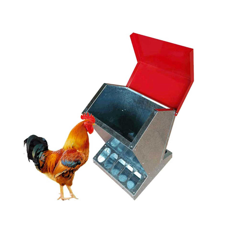 10kg Galvanised Automatic Chicken Feeder