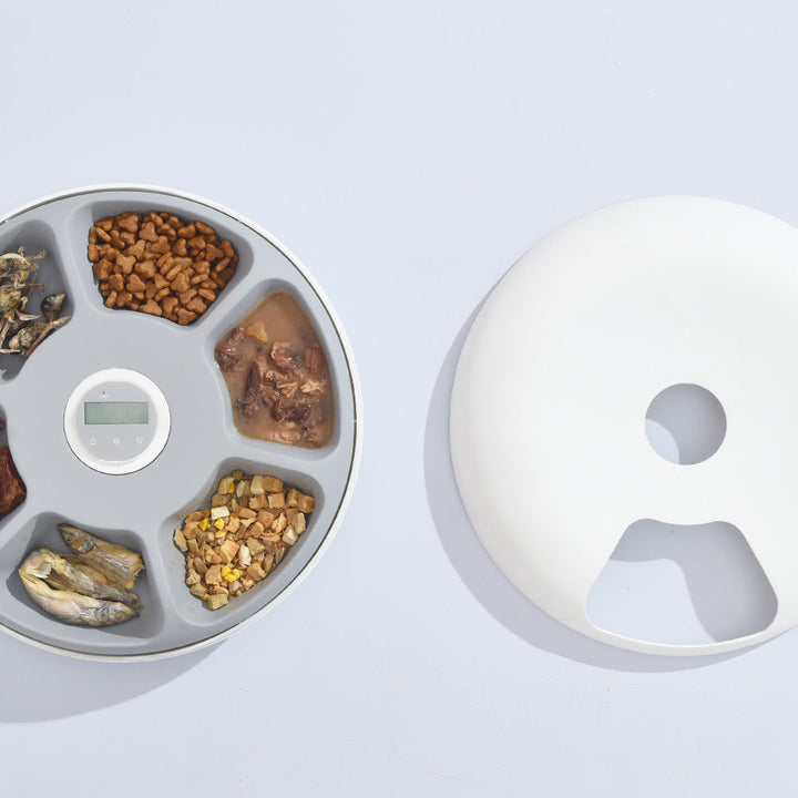 Top View of 6 Meal Automatic Pet Feeder: Displaying six meal compartments for scheduled feeding.