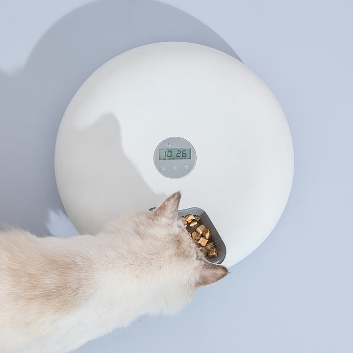 Pet Using the 6 Meal Automatic Pet Feeder: A happy pet enjoying a meal from the automatic feeder.