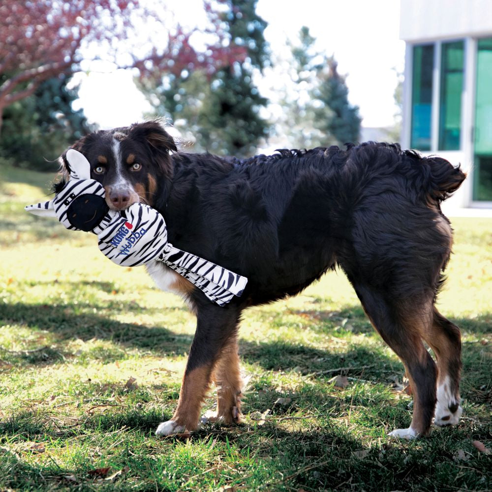 KONG Wubba No Stuff Durable Zebra Tug w/ Squeaker - Best Fetch and Tug Toy for Dogs