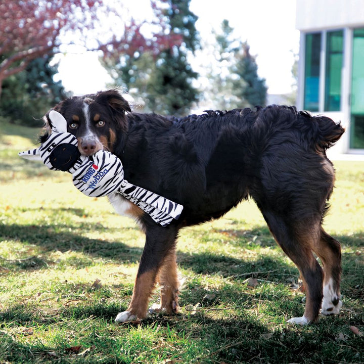 KONG Wubba No Stuff Durable Zebra Tug w/ Squeaker - Best Fetch and Tug Toy for Dogs