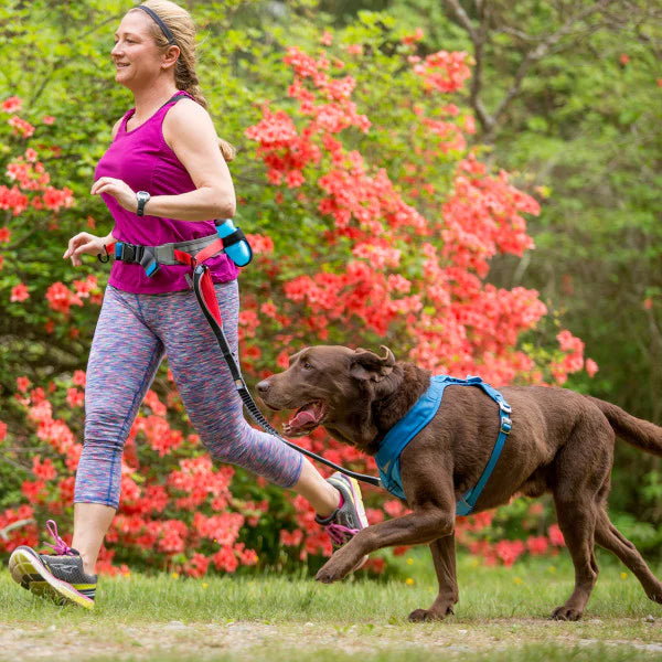  Dog owner using Kurgo K9 Excursion Running Belt - "Kurgo K9 Excursion Running Belt in action, providing hands-free jogging experience