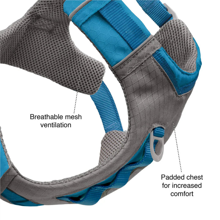 Detailed view of Kurgo Journey Air Harness highlighting padded chest plate and breathable mesh material for comfort and ventilation.