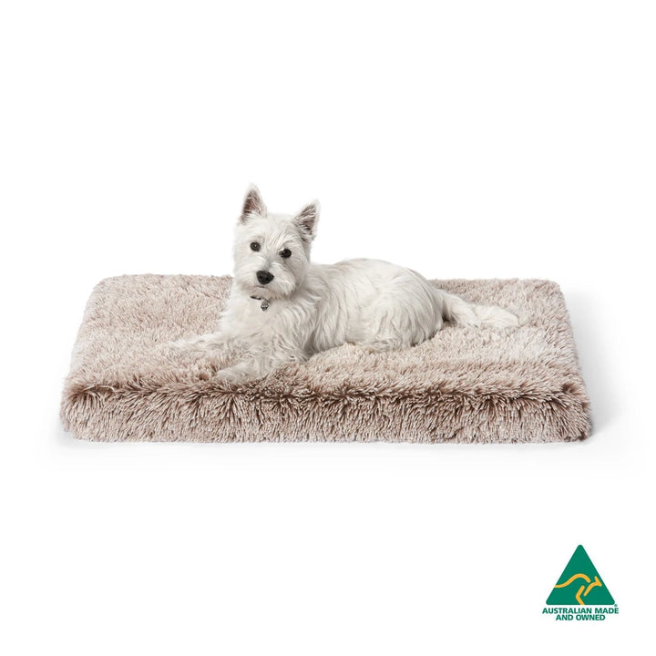 Dog lounging comfortably on the Snooza Calming Ortho Bed – Mink.