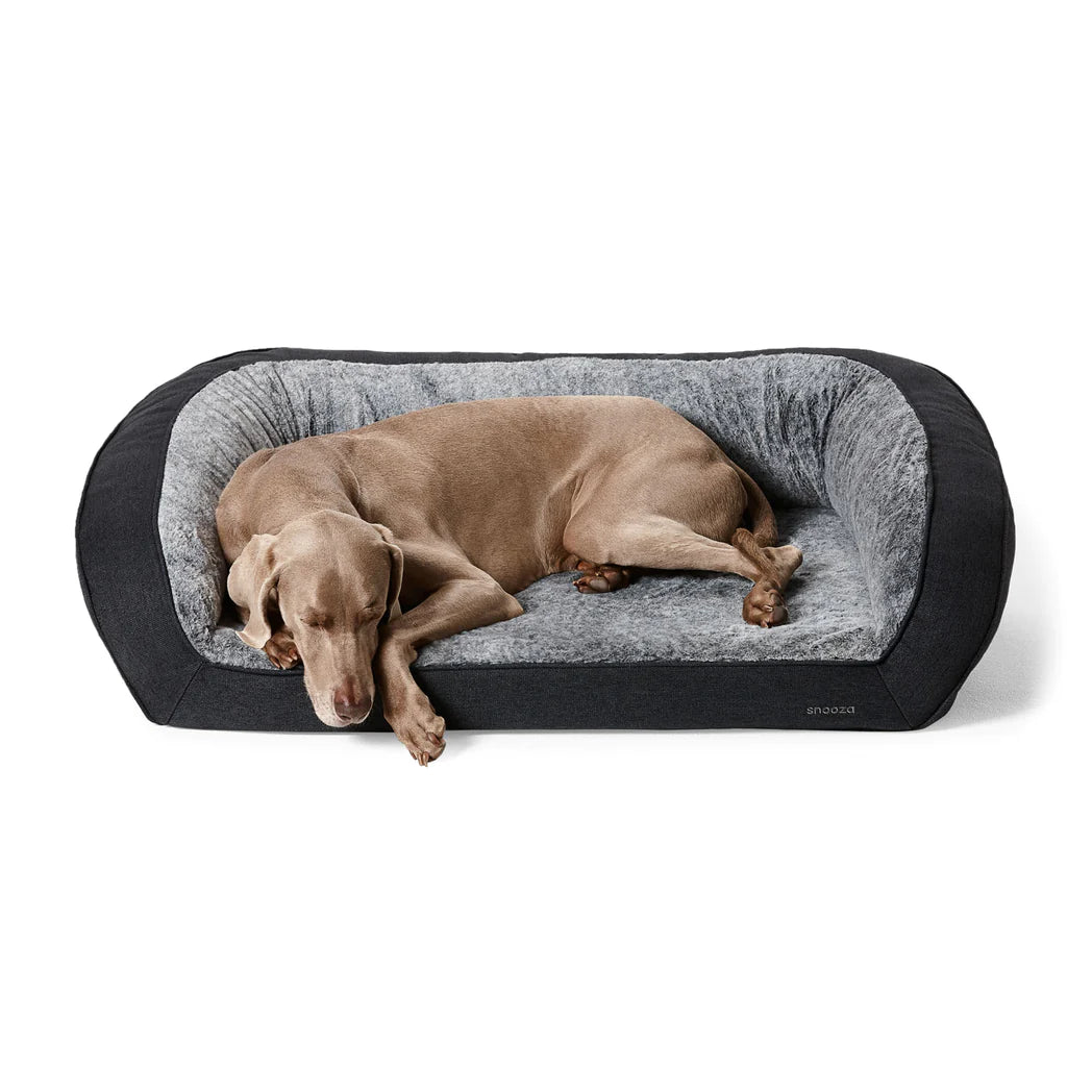 Dog comfortably resting on the Snooza Chinchilla Ortho Sofa with bolstered walls