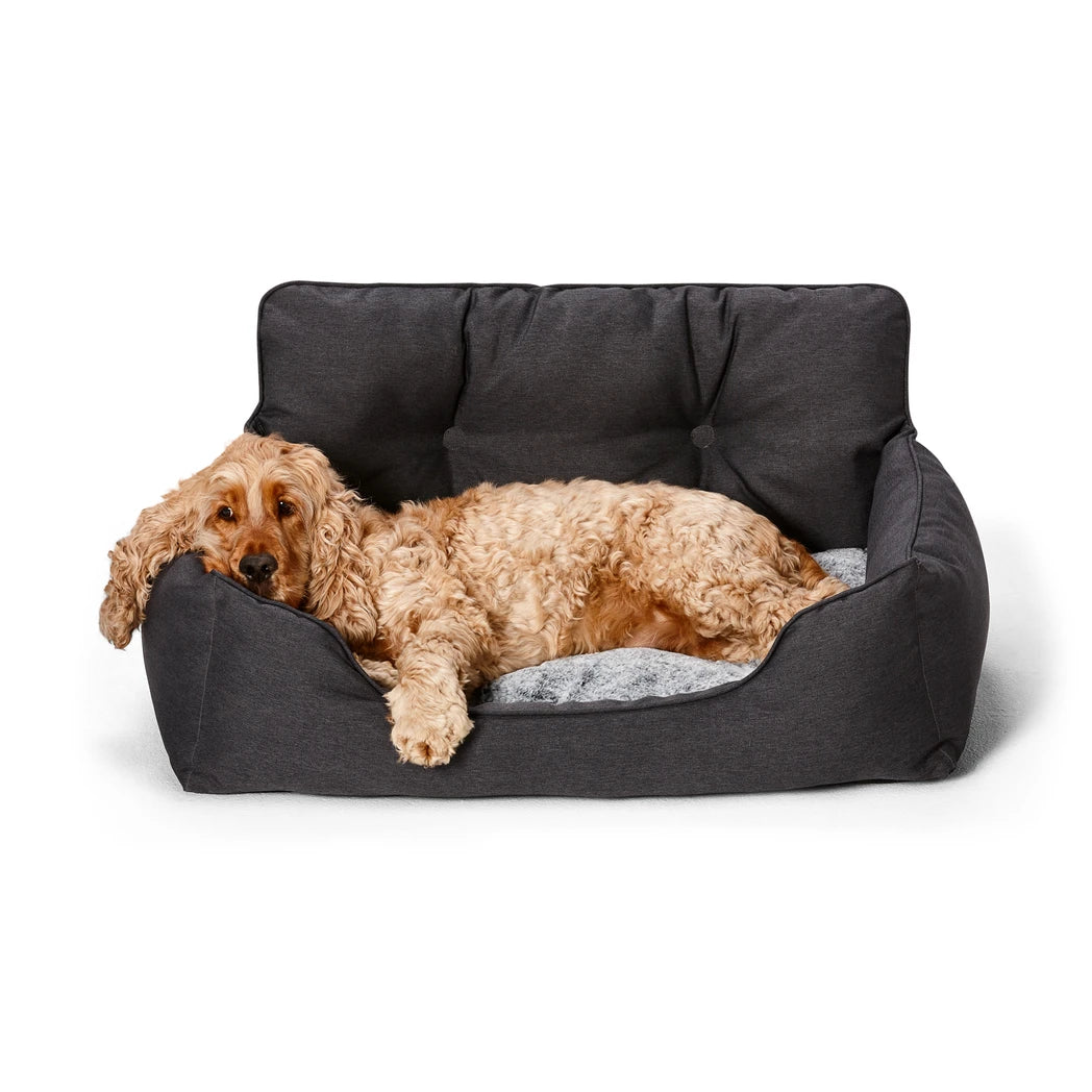 Happy dog sleeping comfortably in the Snooza Travel Bed, illustrating its cozy design.