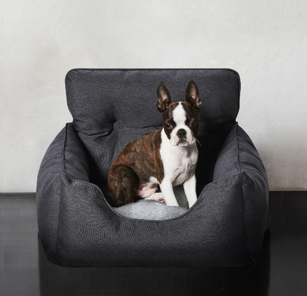 Happy dog resting comfortably in the Snooza Travel Bed, illustrating its cozy design.