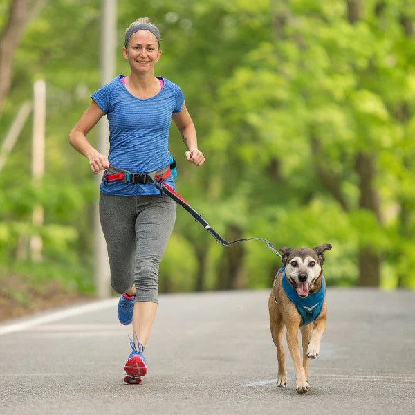 Active dog owner running with dog using Kurgo K9 Excursion Running Belt - "Kurgo K9 Excursion Running Belt in action, providing hands-free running experience